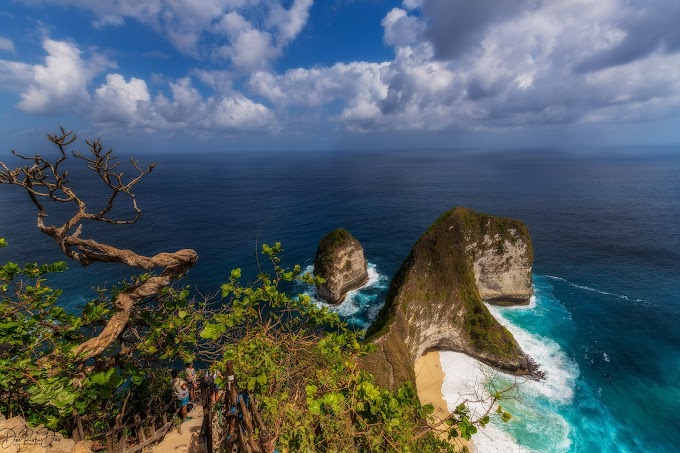 The broken tree over the cliff