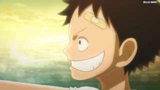 ワンピースアニメ 1030話 ルフィ 幼少期 かわいい Monkey D. Luffy | ONE PIECE Episode 1030