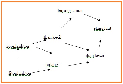 PENDADARAN UN 01  Beriman,Berilmu,Berakal