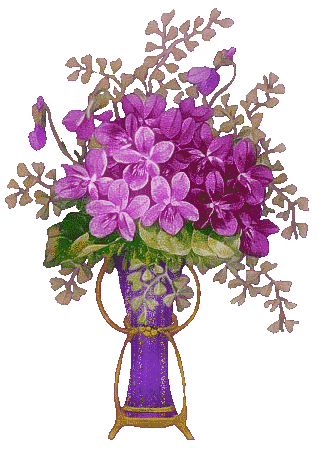 flores pink