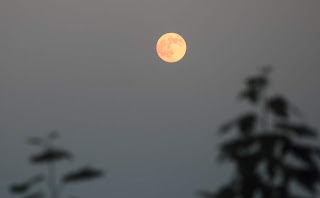 La Luna, cielos con luna, fotos con la luna, fotos de la luna