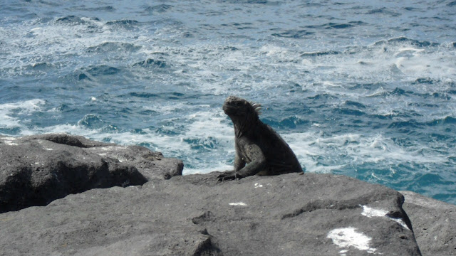 galapagos islands travel