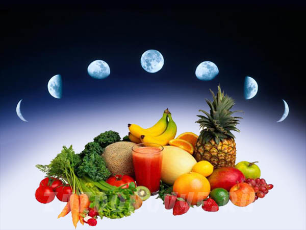 the moon phase diet