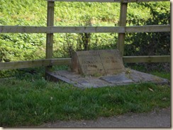 SAM_0573