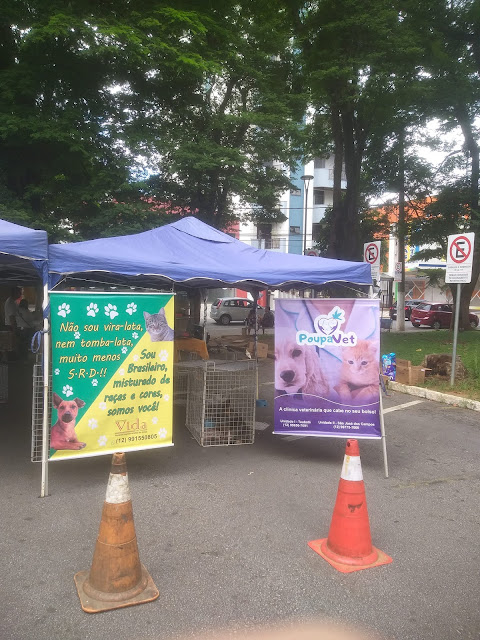 Tem feira de adoção de animais do 'Vida Taubaté Defesa dos Animais' na Praça Santa Terezinha!