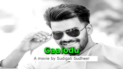 Gaalodu 2022 Telugu Movie Download