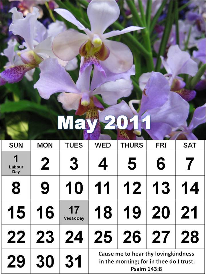 may calendar 2011 with holidays. may calendar 2011 with