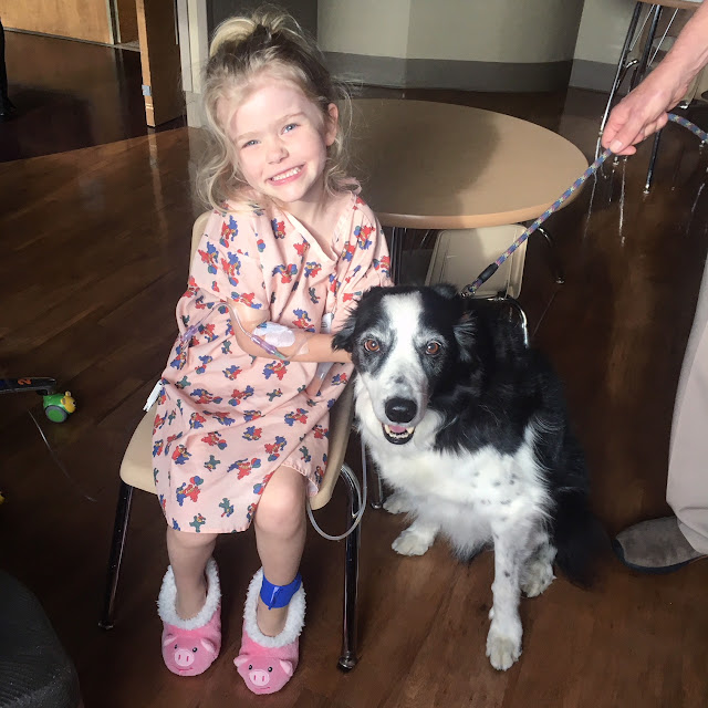 Daphne and Takoda, the therapy dog