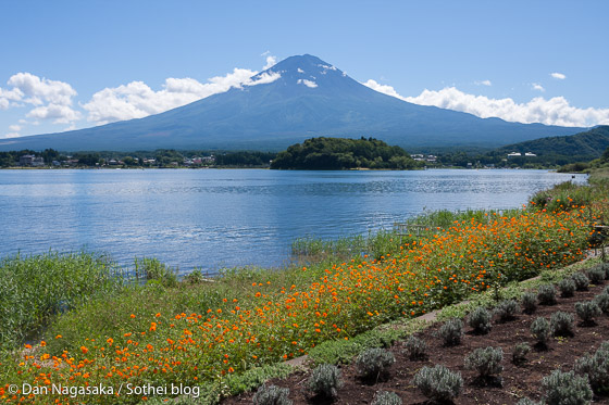 夏の富士山と河口湖