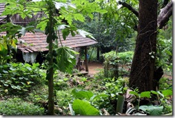 Indian homestays