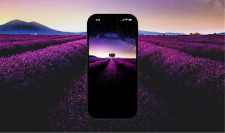 Beautiful Black OLED Wallpaper for Phone | Lone Tree