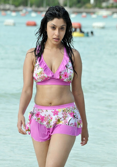 Indian Actress Hot Bikini Photo Gallery