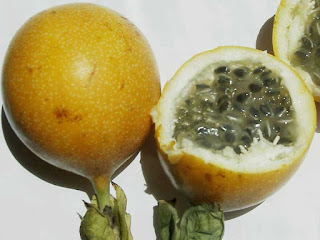 granadilla fruit images