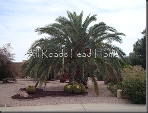 AZ 2011 034