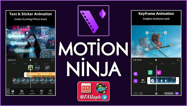 Motion Ninja Pro