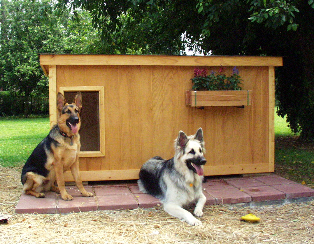 Dog Houses and Dog House Plans Animals Library