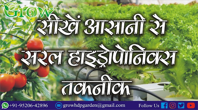 Learn Hydroponics हाइड्रोपोनिक प्रणाली