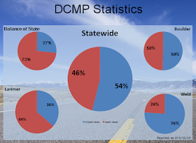 graphic showing disaster case management program stats