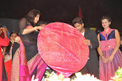 Rudramadevi warangal audio launch-thumbnail-55