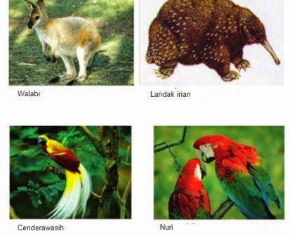 Download 8800 Gambar Flora Di Indonesia Bagian Barat Tengah Dan Timur Terbaru HD