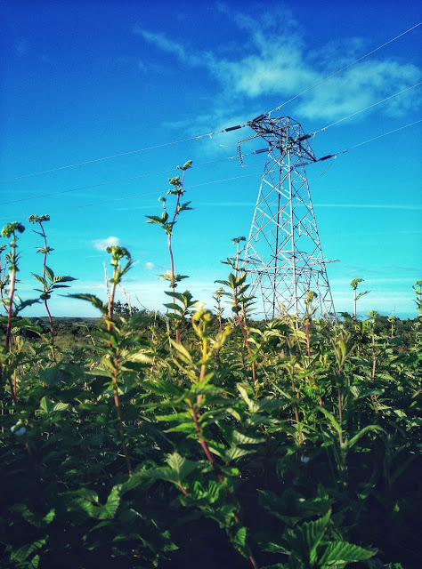 green countryside, Moycullen area