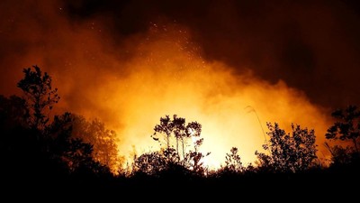 Kebakaran hutan di Kalimantan