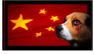 Image Petition to Stop Dog Meat Eating Festival in China banner - Chinese flag and dog with blood oozing from its eye