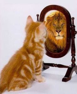 Chat ou lion ?