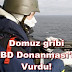 DOMUZ GRİBİ ABD DONANMASINI VURDU!