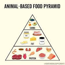 Animal Based Diet Meal Plan