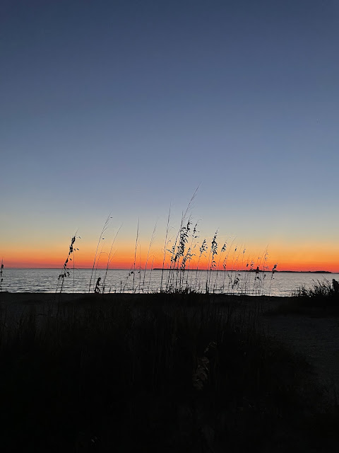Another twilight picture. This one is of the beach grass, ocean, and night sky. The horizon looks like it is on fire. The reddish orange is so bright.