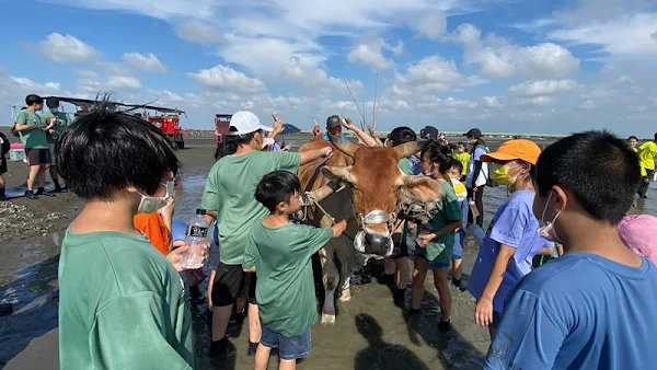 ▲彰化家扶兒到潮間帶後，開心各自去探險，還有坐牛車、幫牛洗香香體驗。（圖／彰化家扶提供）