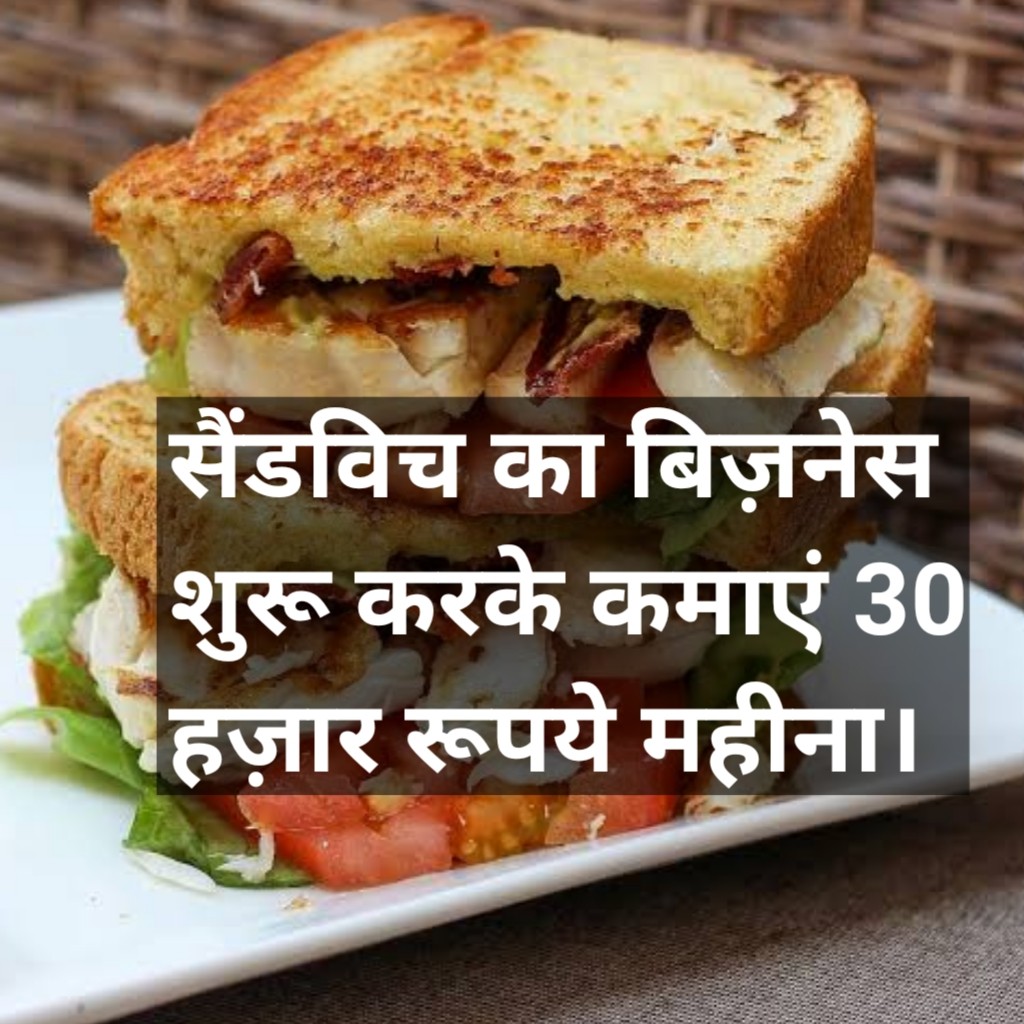 sandwich business plan in hindi