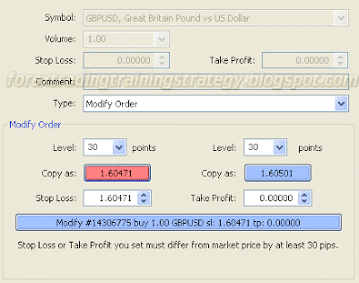 MT4 Stop Loss Function