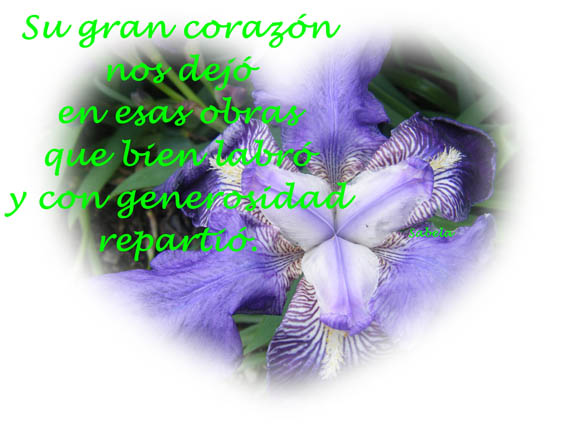 Su gran corazÃ³n...