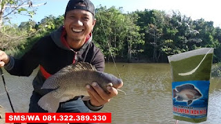 Umpan Pelet Serbuk Paling Gacor Untuk Ikan Nila