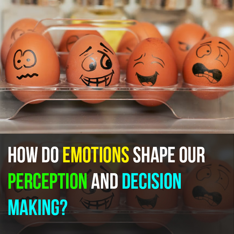 How-do-emotions-shape-our-perception-and-decision-making