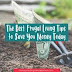 Wonder II Products - Green Living - 7 Frugal Ways 