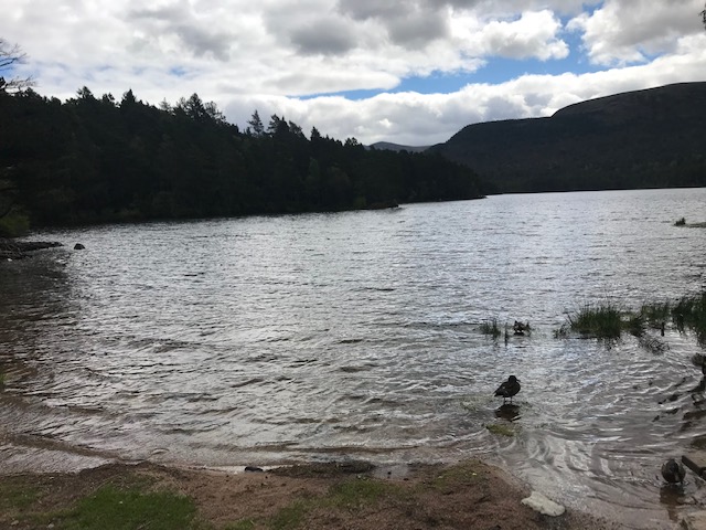 Loch an Eilein, Rothiemurchus, Scotland, Roadtrip, Scenery, Lake, Cairngorms National Park,