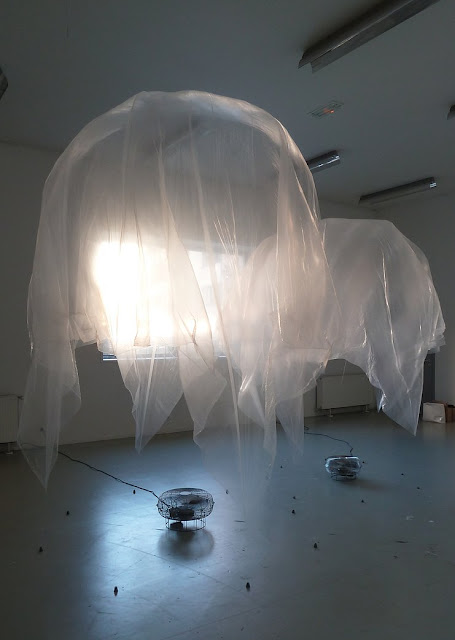 Anaïs DUNN, artiste invitée, Openfield 2, C.A.C.T.U.S Quimper, 2019