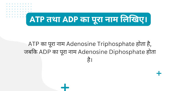 ATP तथा ADP का पूरा नाम लिखिए | ATP, ADP का पूरा नाम in Hindi/English