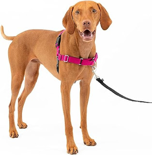 Petsafe Easy Walk Harness Reviews