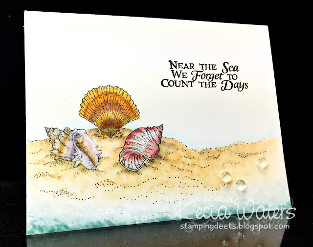 PSX, Kecia Waters, Copic markers, shells, seashells