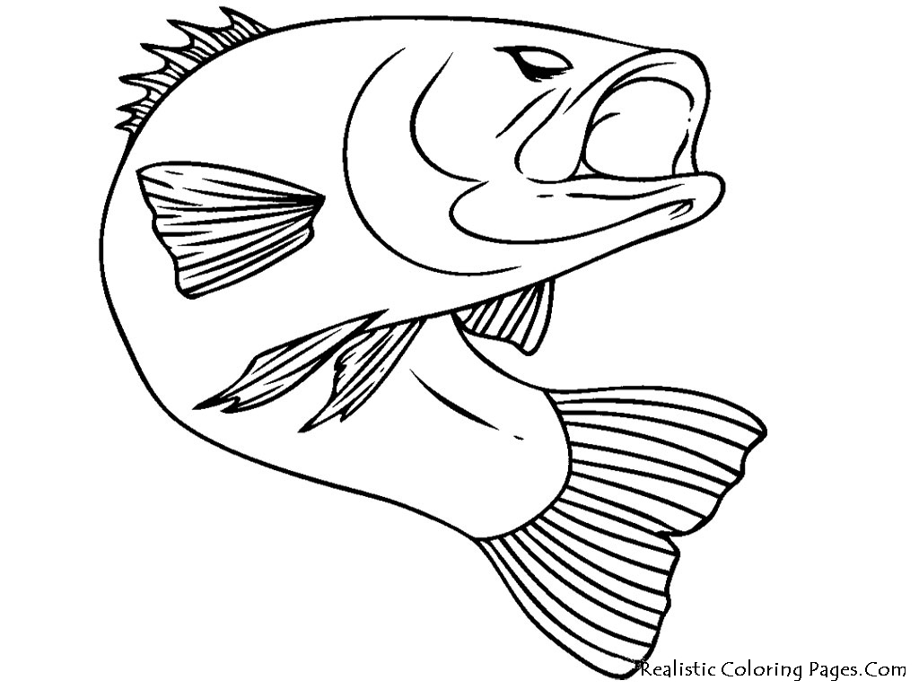 Fish Realistic Coloring Pages | Realistic Coloring Pages