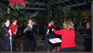 Dow Gardens Carol walk 12 10 2010