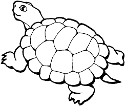 Best Turtle Coloring Pages - Cute Animals Coloring Pages