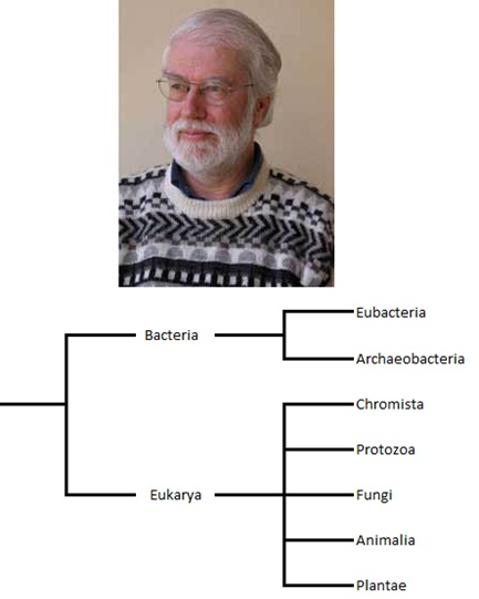 Sistema taxonómico de Cavalier-smith.