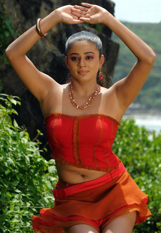 Actress Priyamani Hot Photos From Raaj Telugu Movie Stills  stills