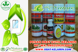 Obat Kutil Kelamin