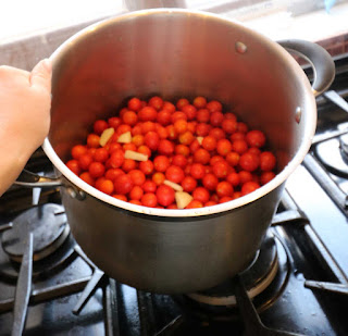 Tomato glut